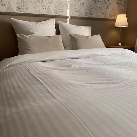 Deluxe Confort Avec Parking Prive
